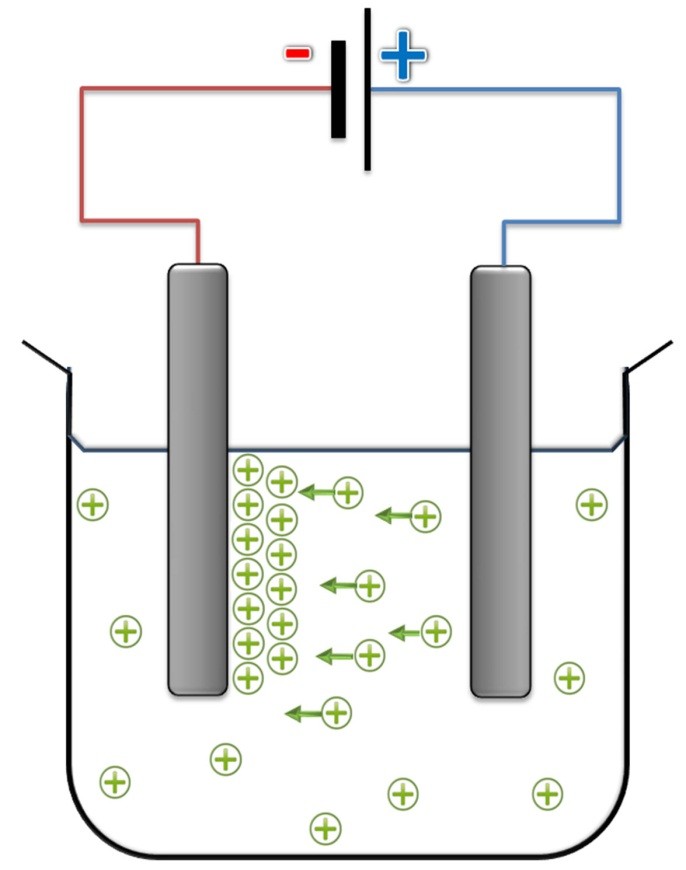 Điện di Vitamin C